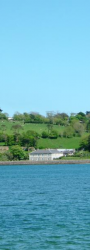 Monatrey House