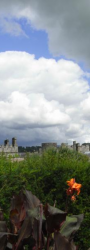 Lismore Castle