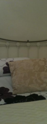 Double bedroom - Rear
