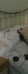 Double bedroom - Rear