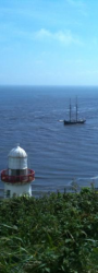 The Lighthouse