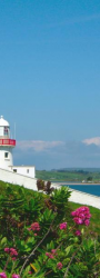 The Lighthouse